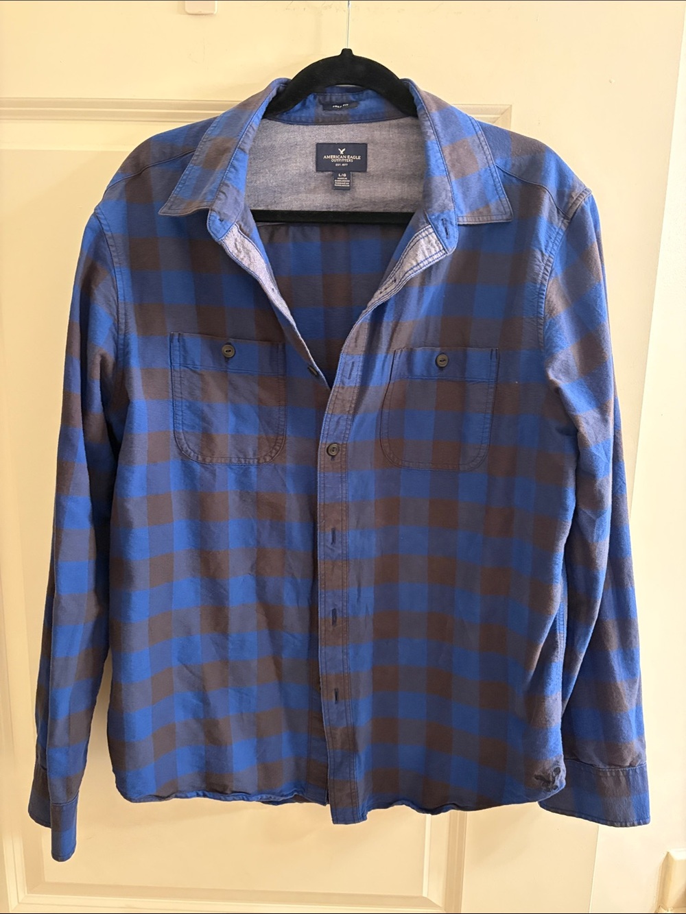 American Eagle Outfitters Blue and Gray Checked Button-Down Shirt